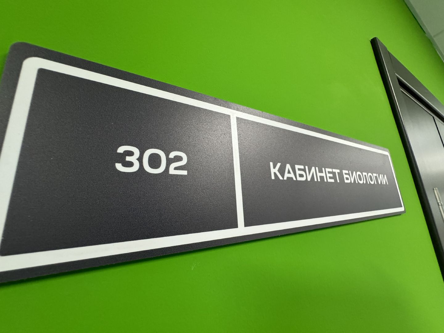 проект