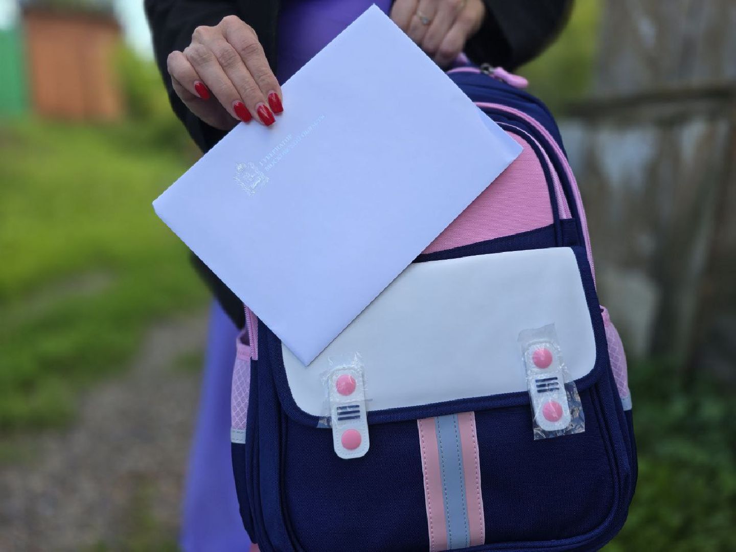 губернатор мо