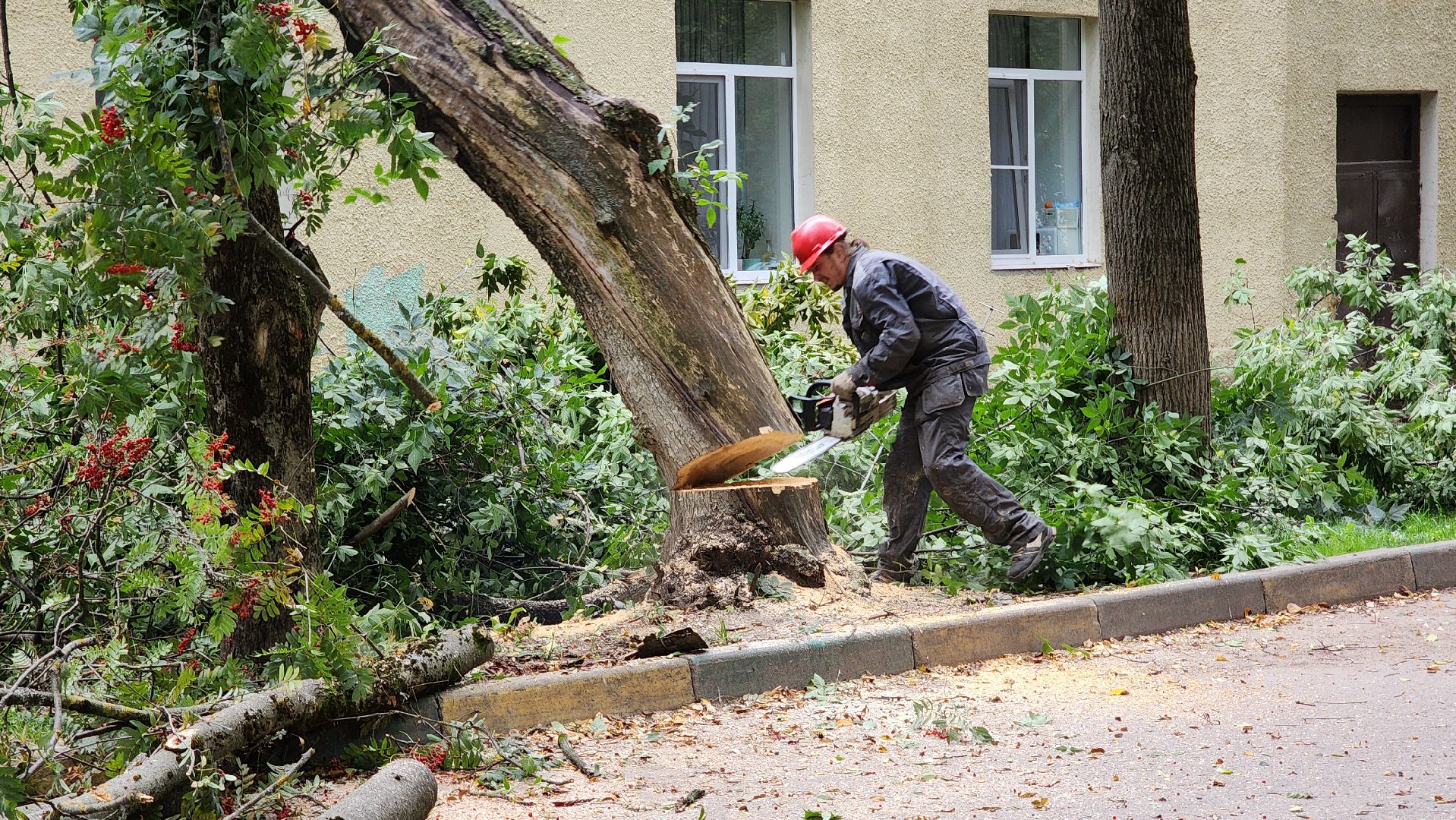 Благоустрой