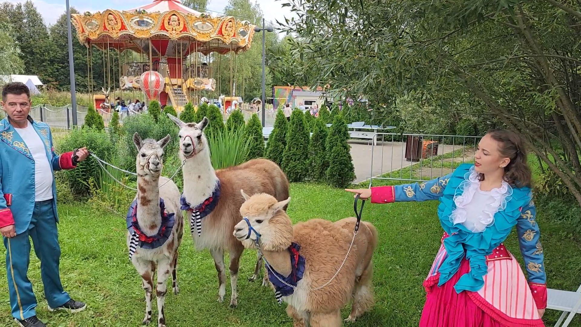 Конкур