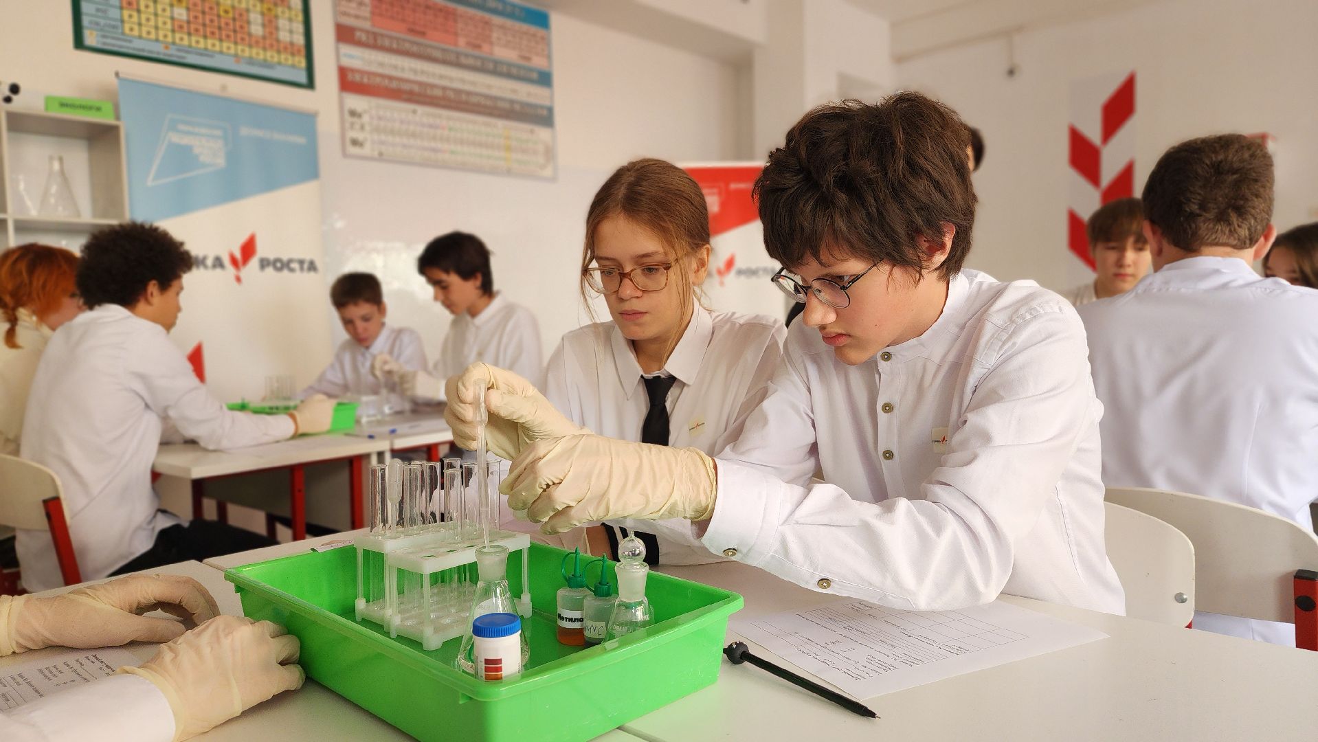 образование