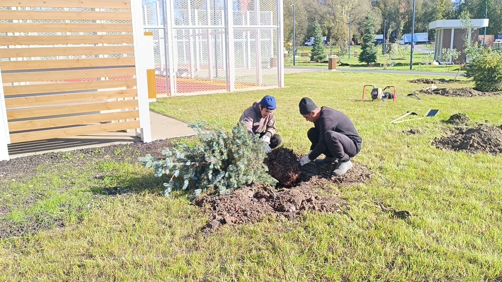 Благоустрой