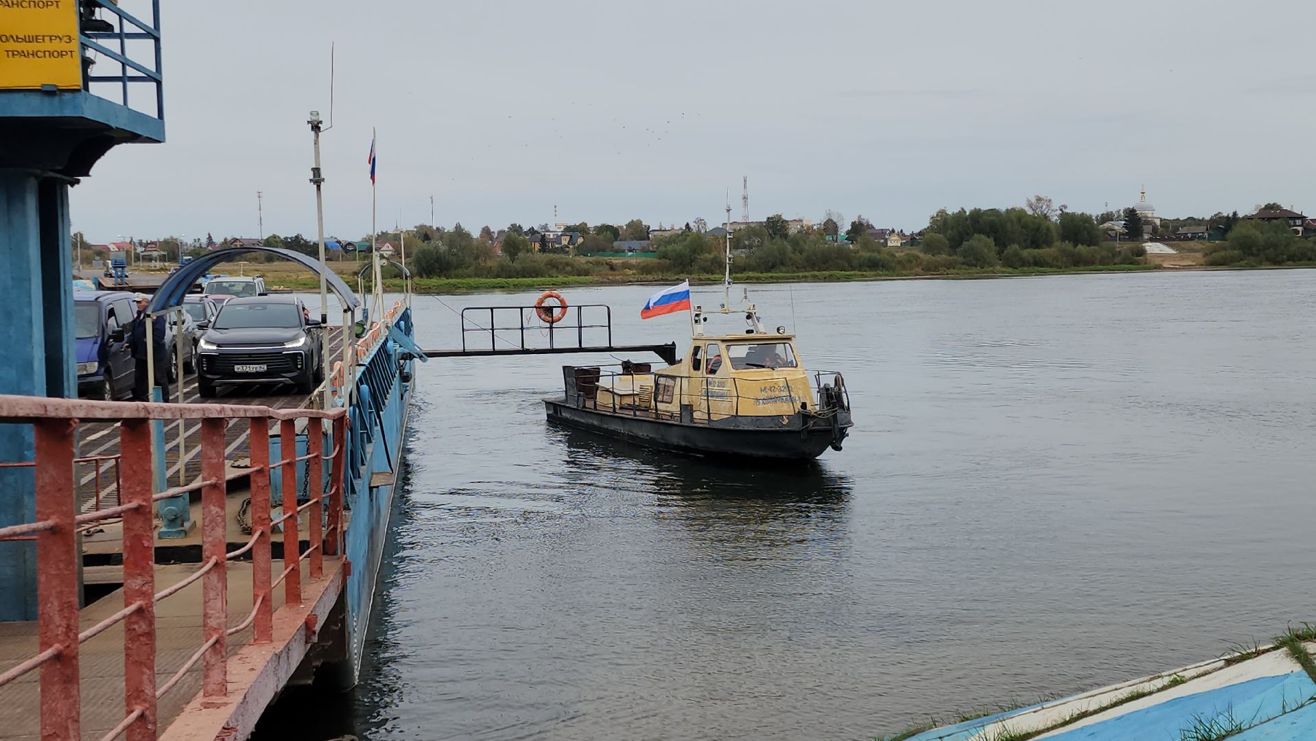 белоомут