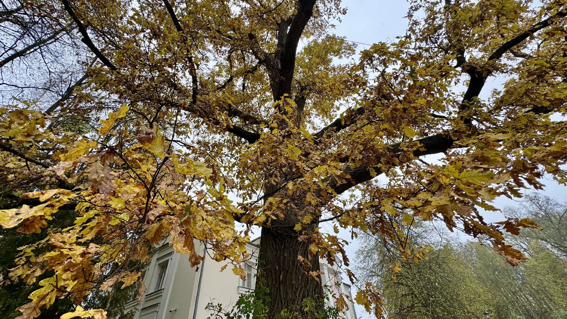 Музей-заповедник