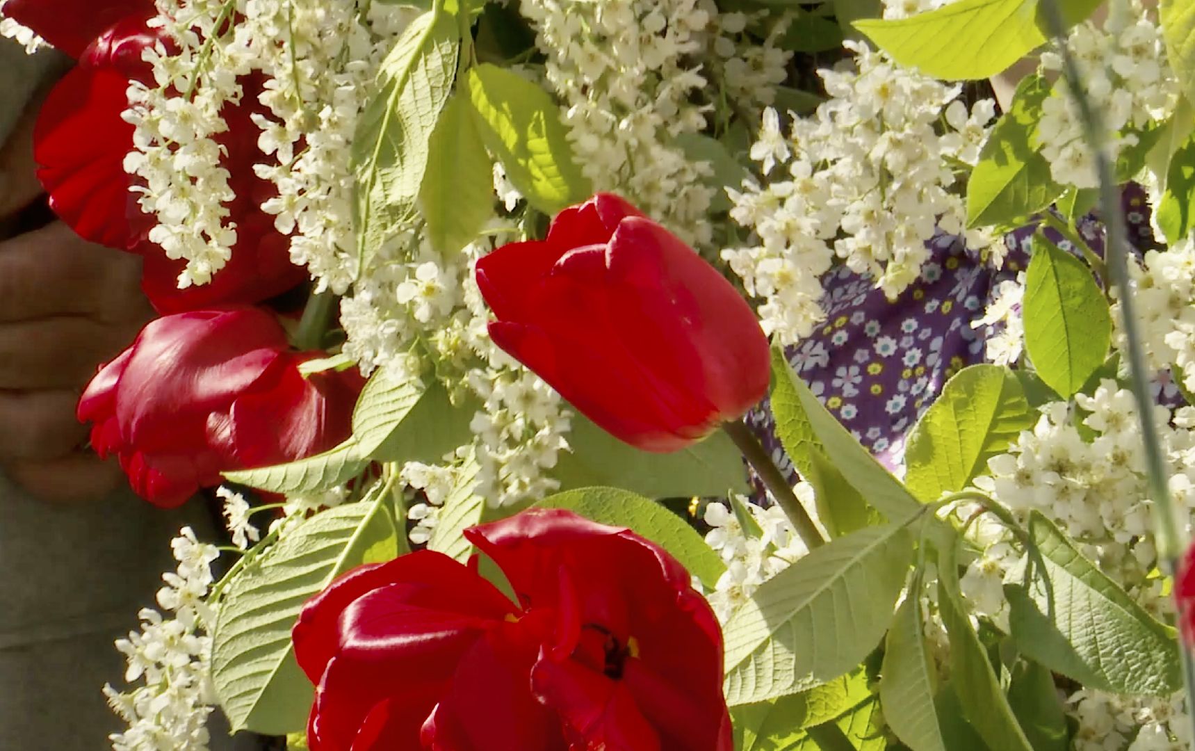 День Победы