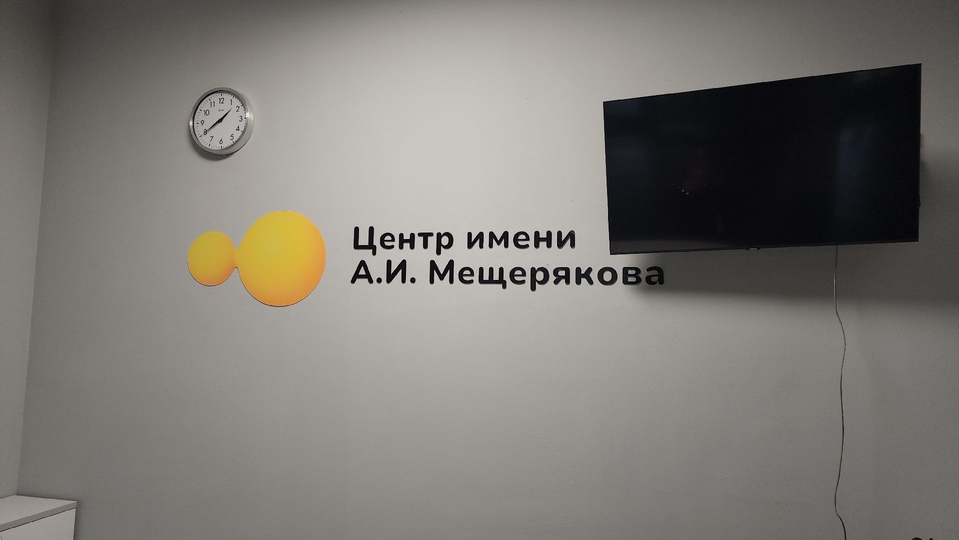 директор центра мещерякова