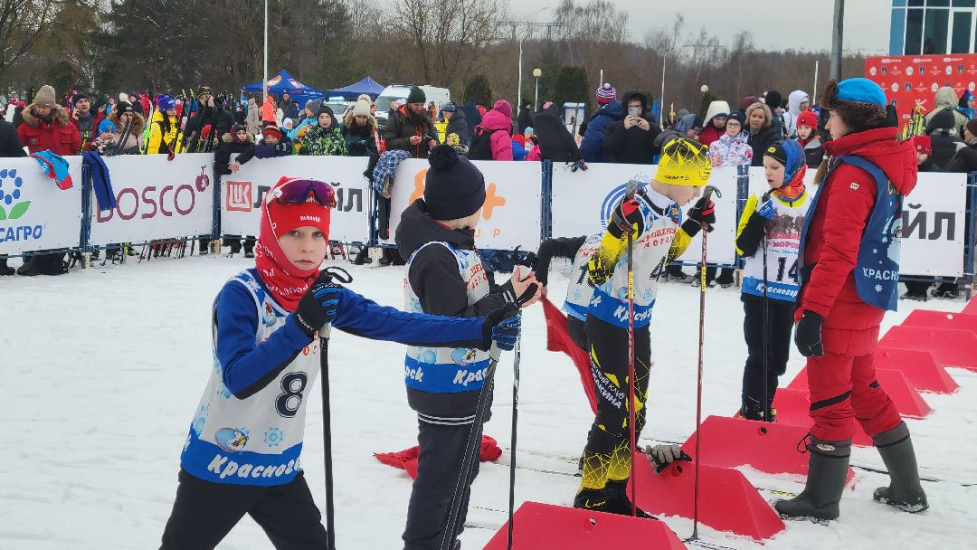 Красногорс