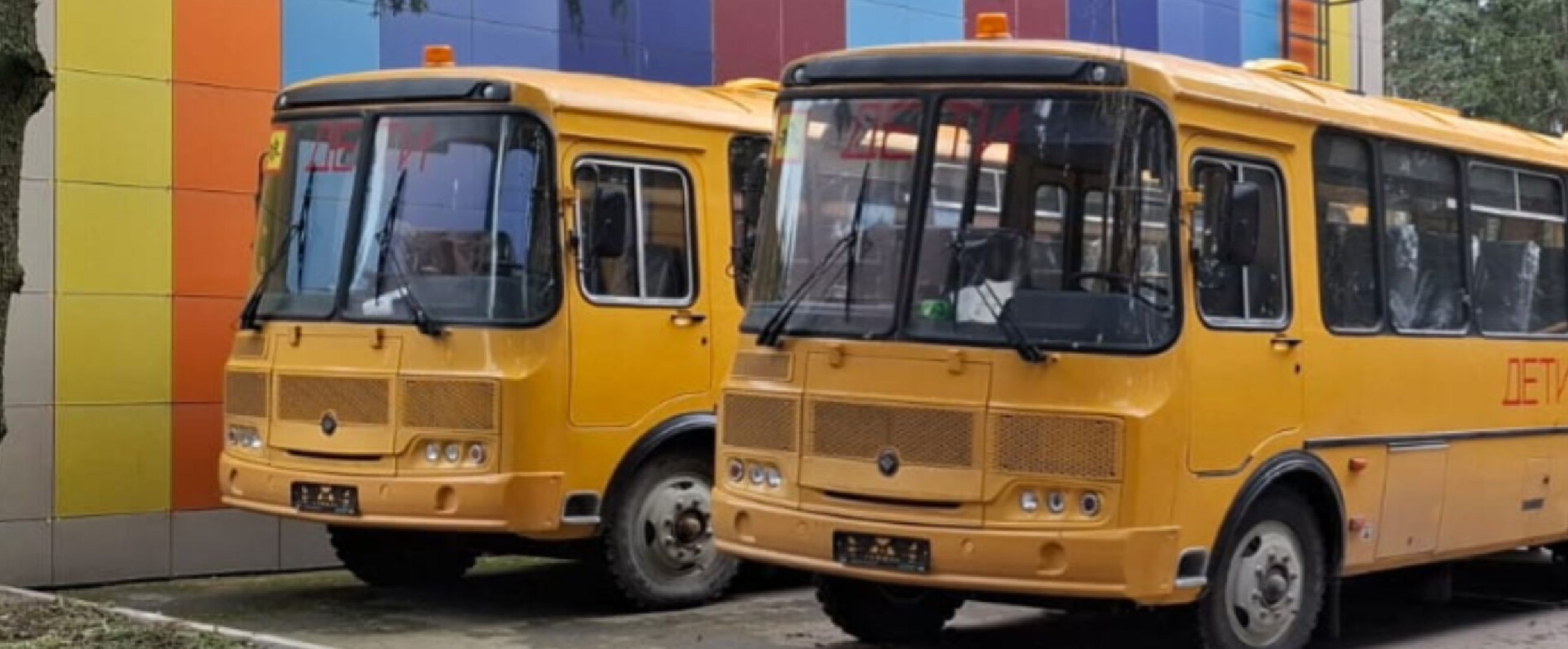 Школьные автобусы