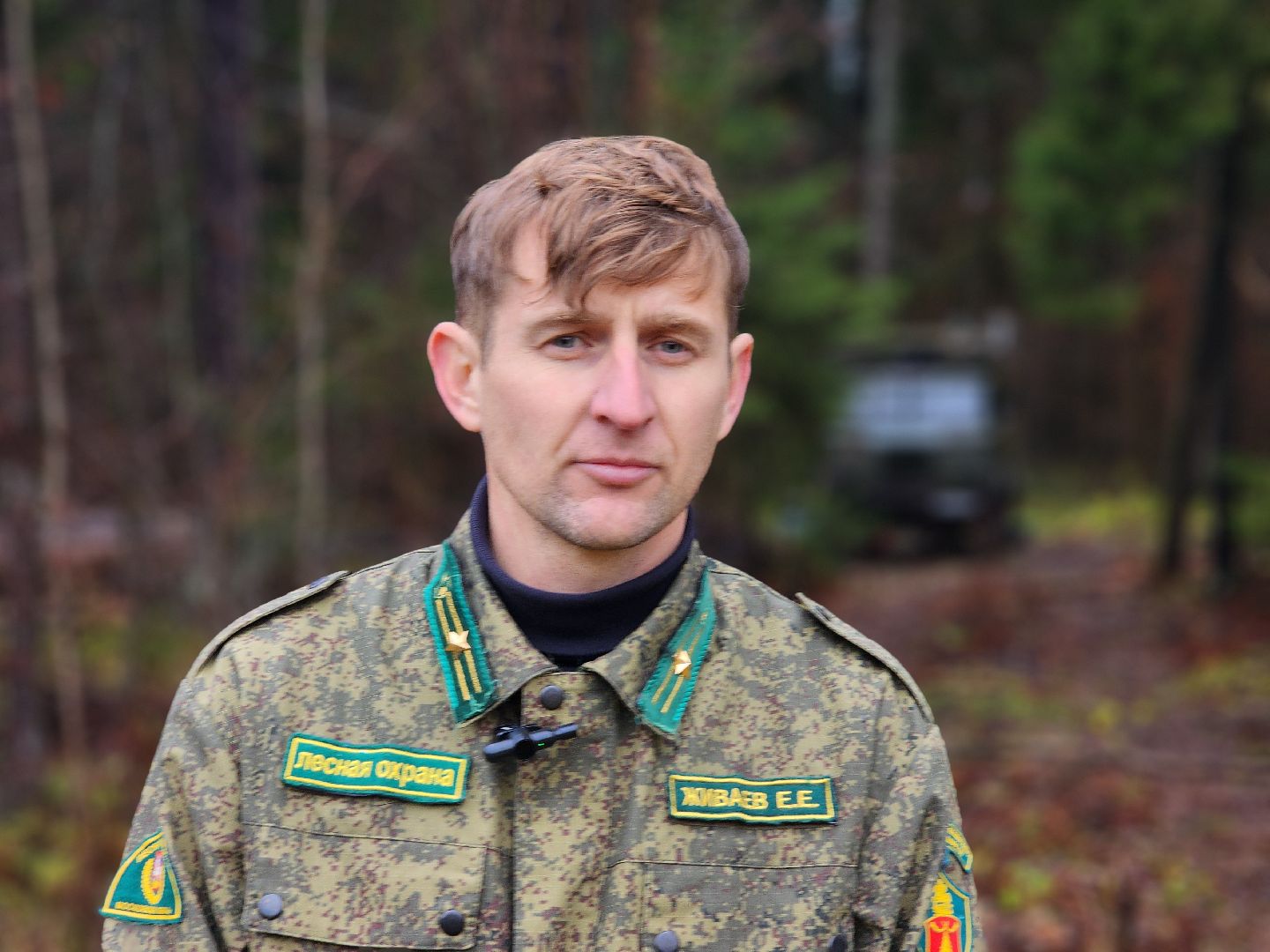 Леса Подмосковья