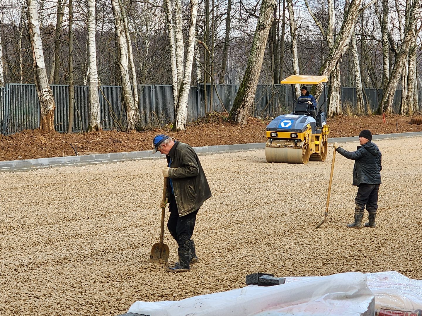 губернатора