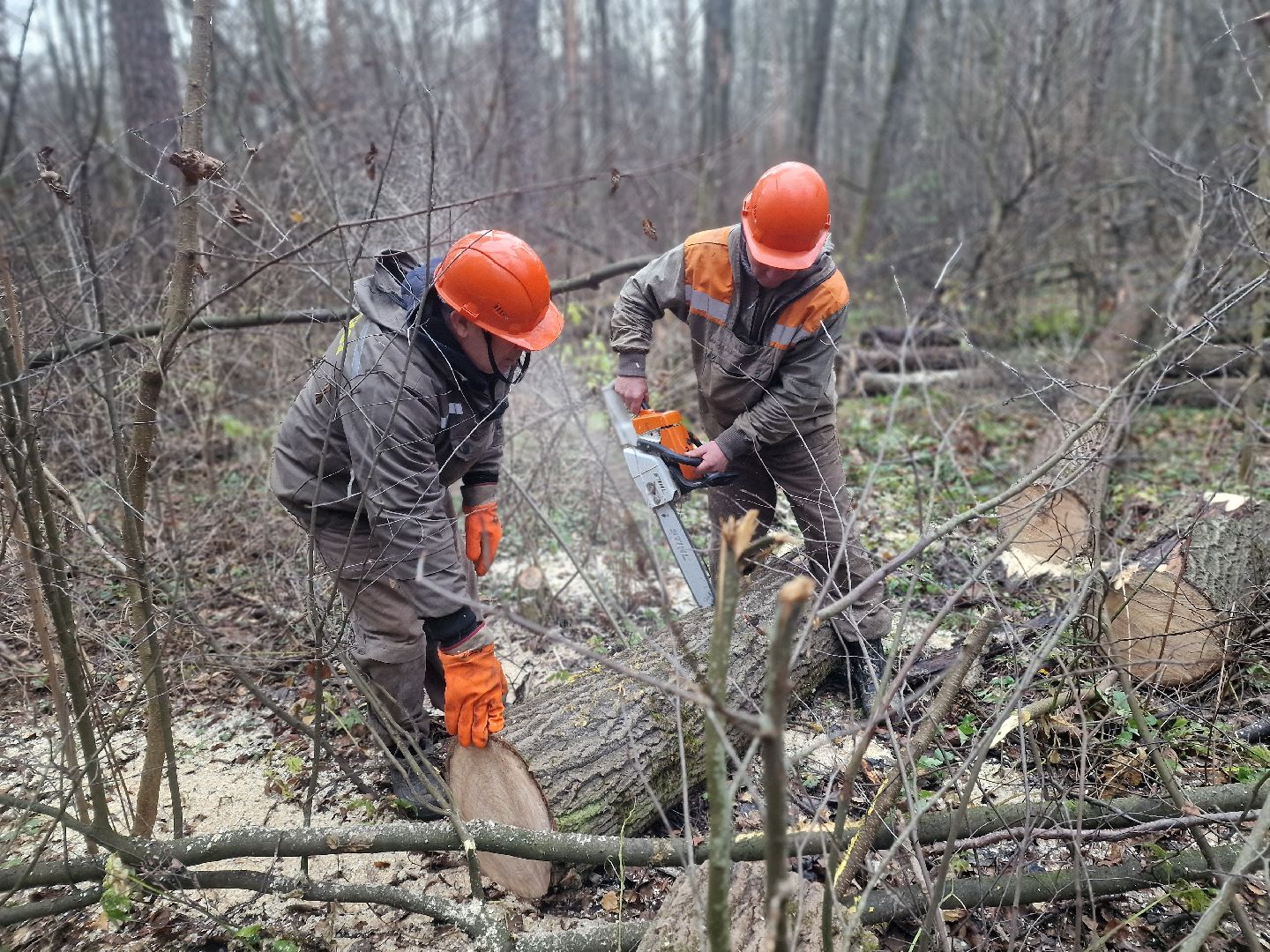 воскресенск