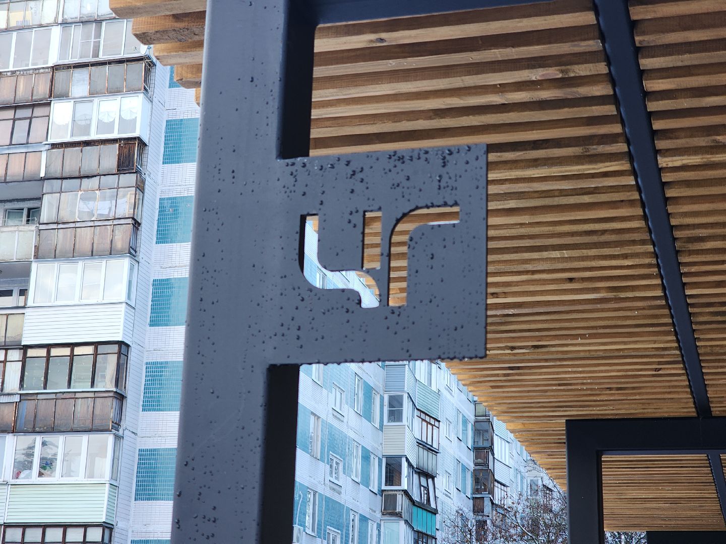 черноголовка