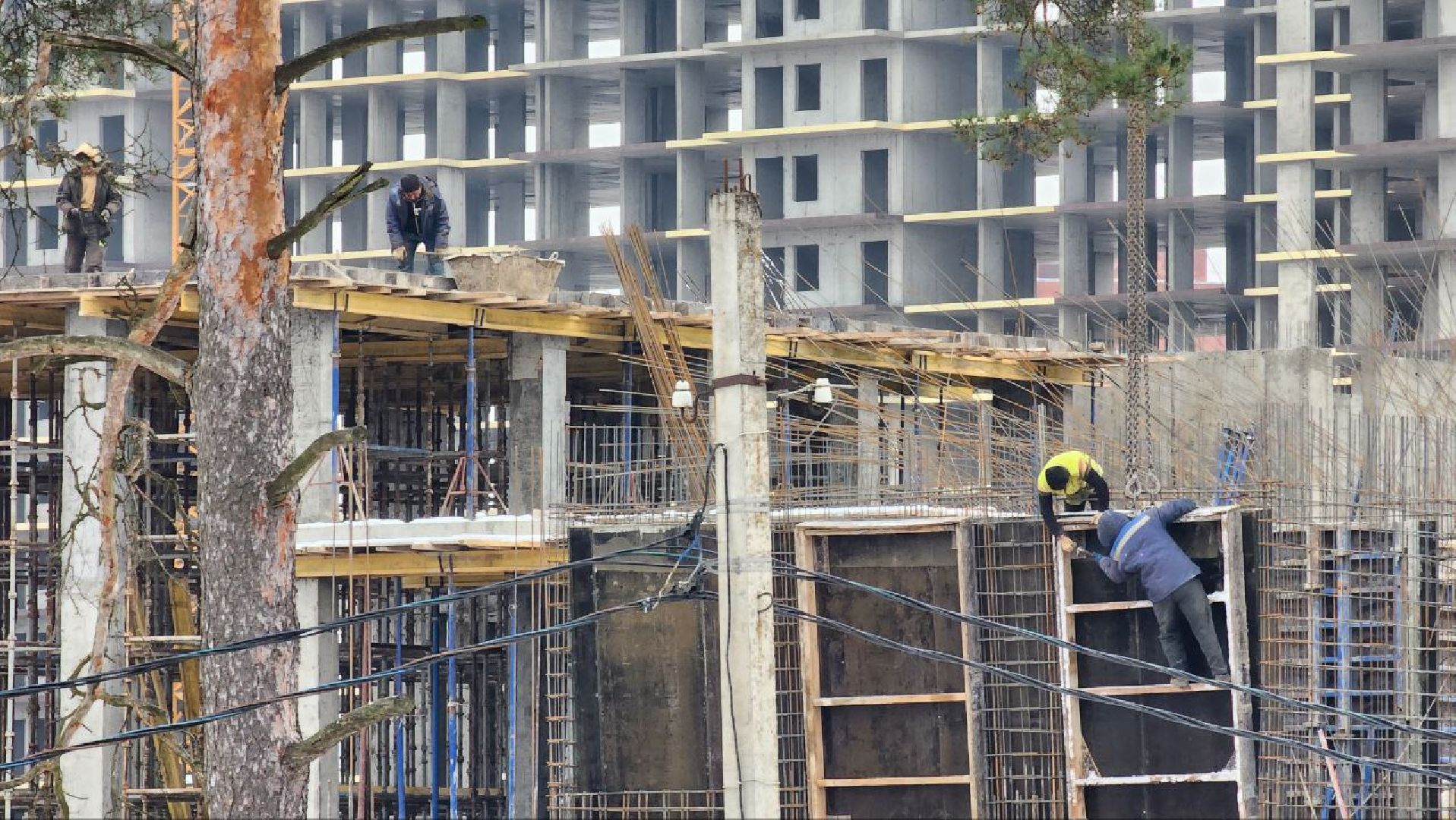 образования