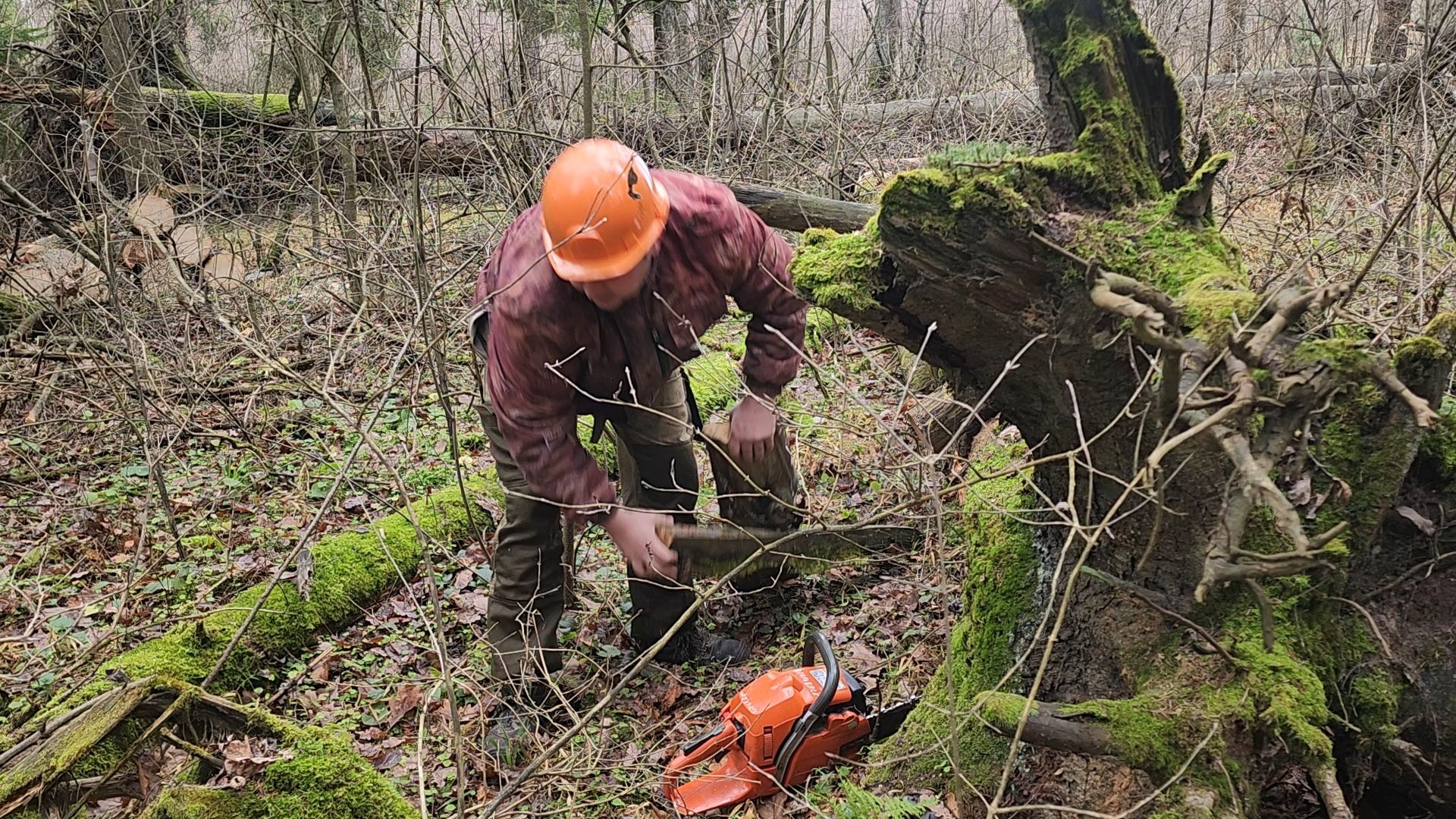 Подмосковье