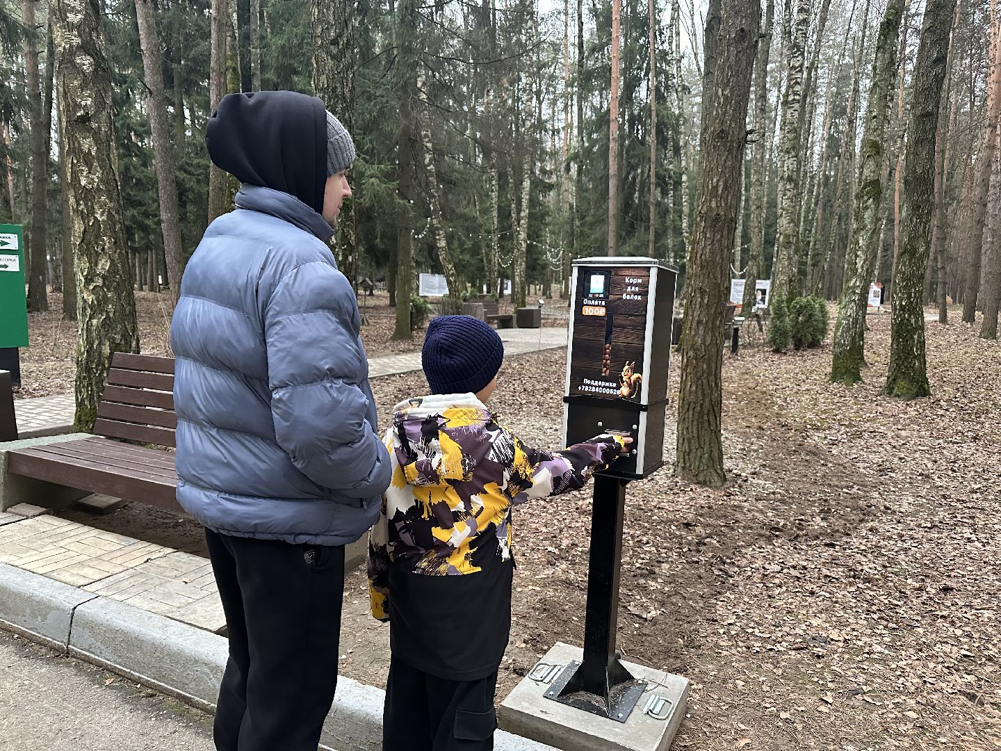 домодедово