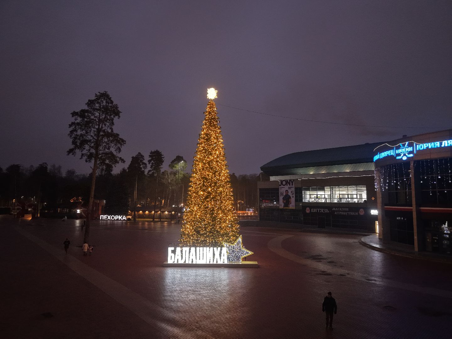 новый год в балашихе