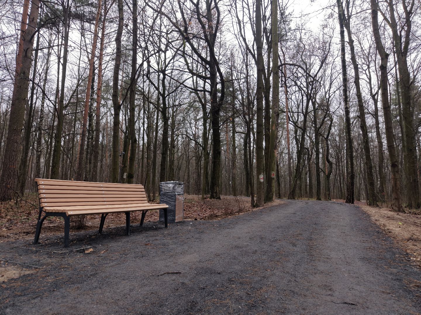 лесопарк в люберцах