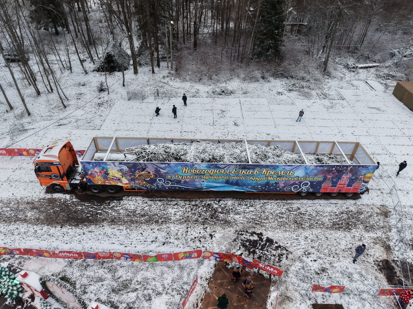 ель из рузы в кремль