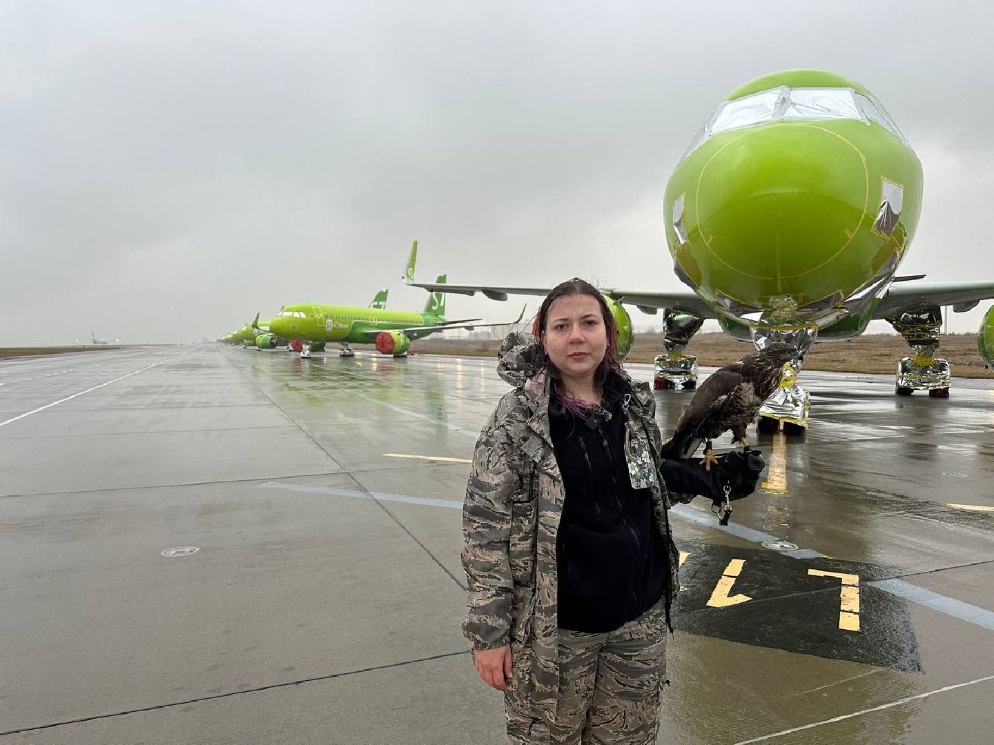 домодедово