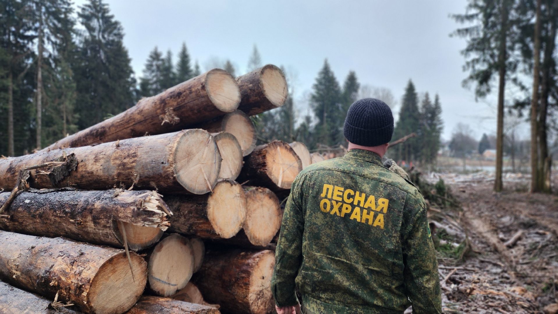 клинский филиал лесничества