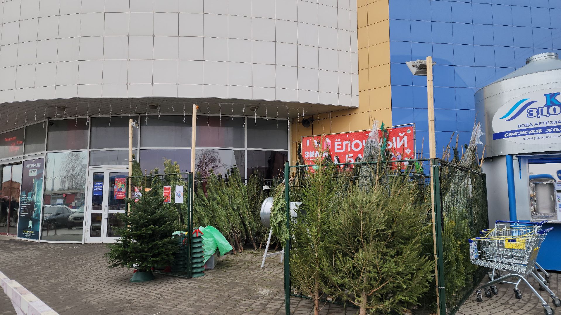 Елочный базар