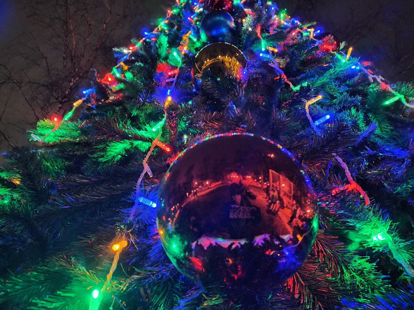 новогодняя программа