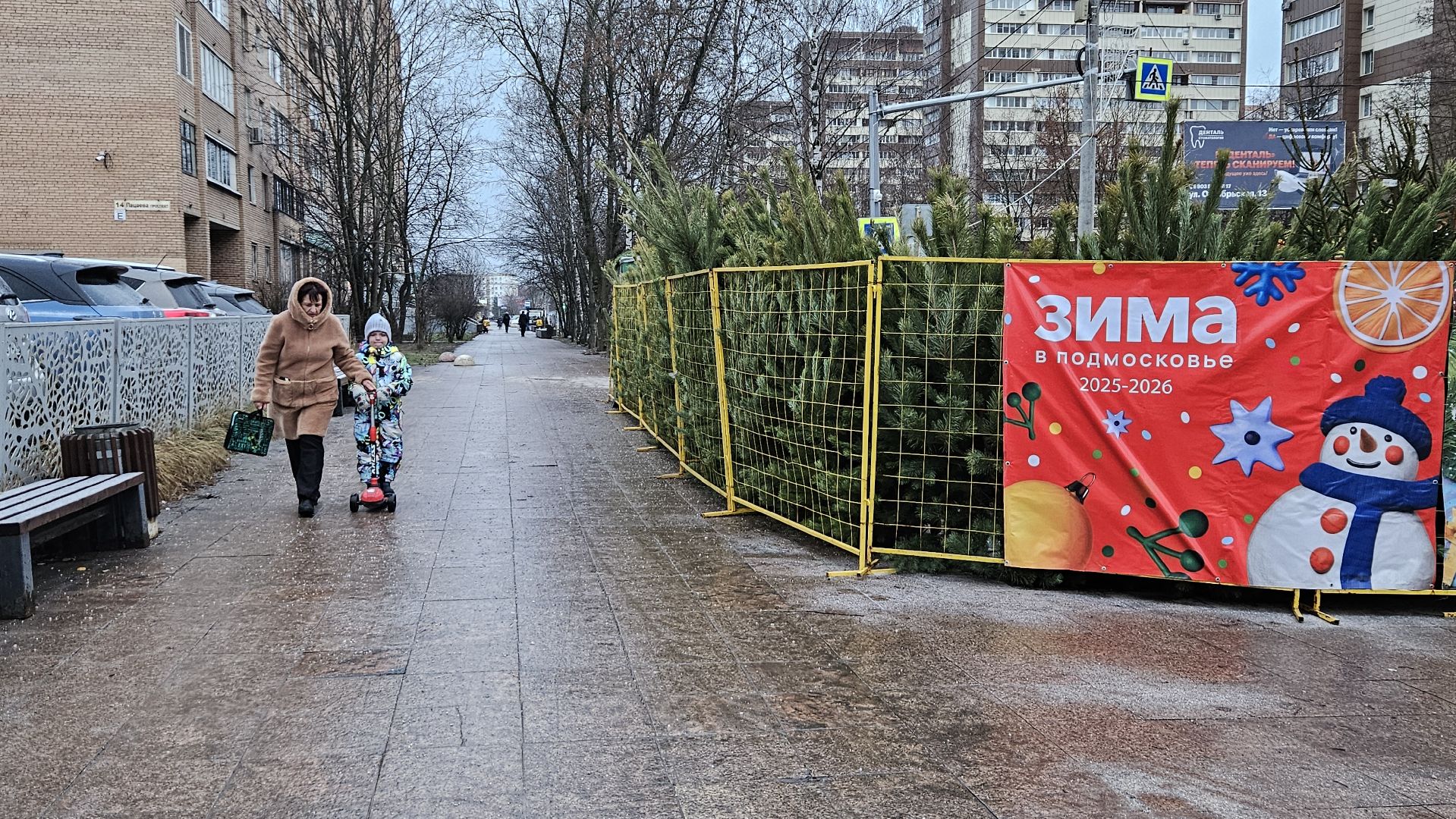 Елочный базар