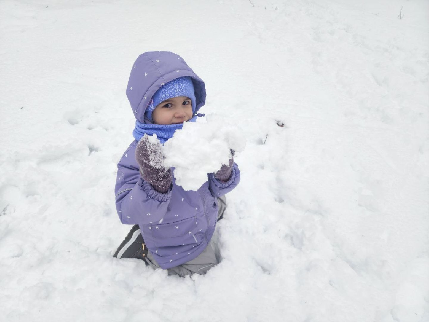 солнечногорск