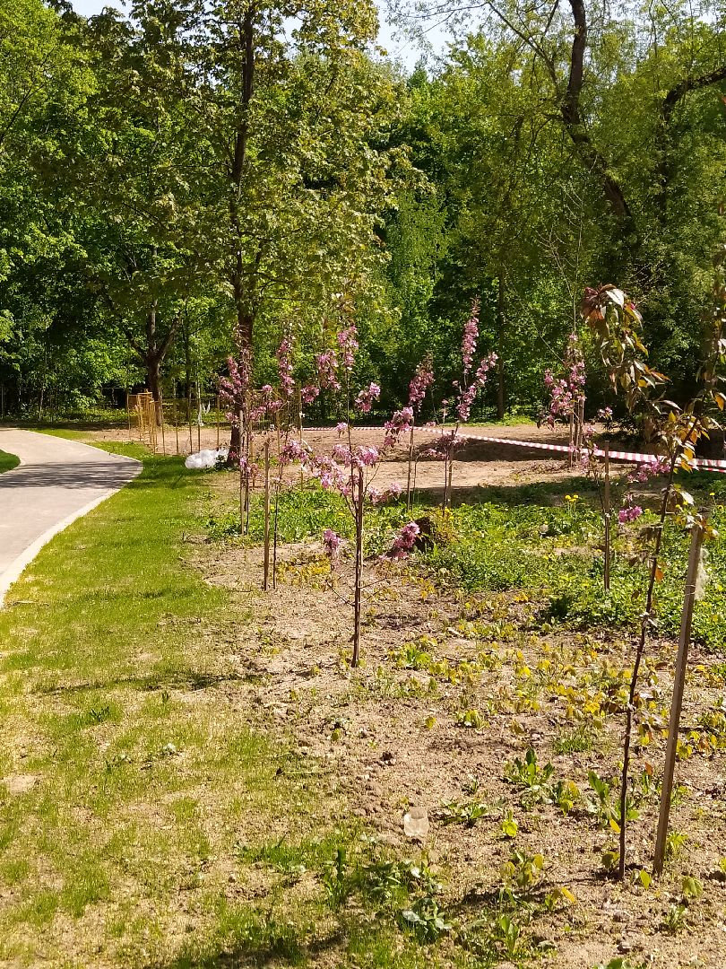 Благоустро