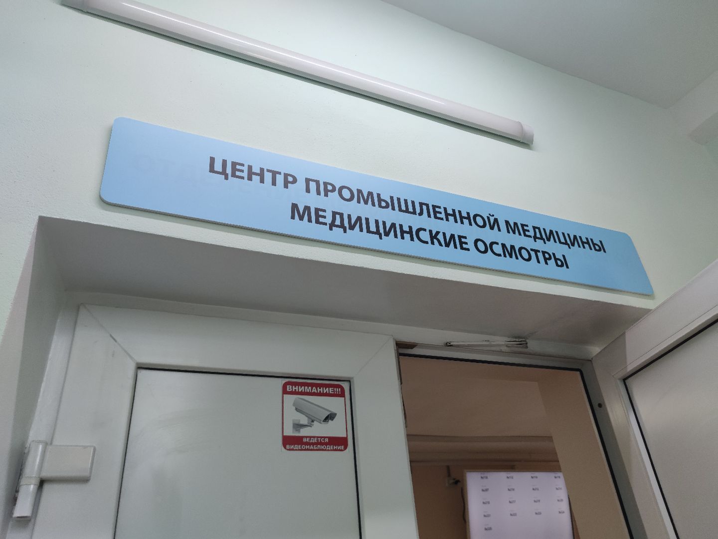 Дуб