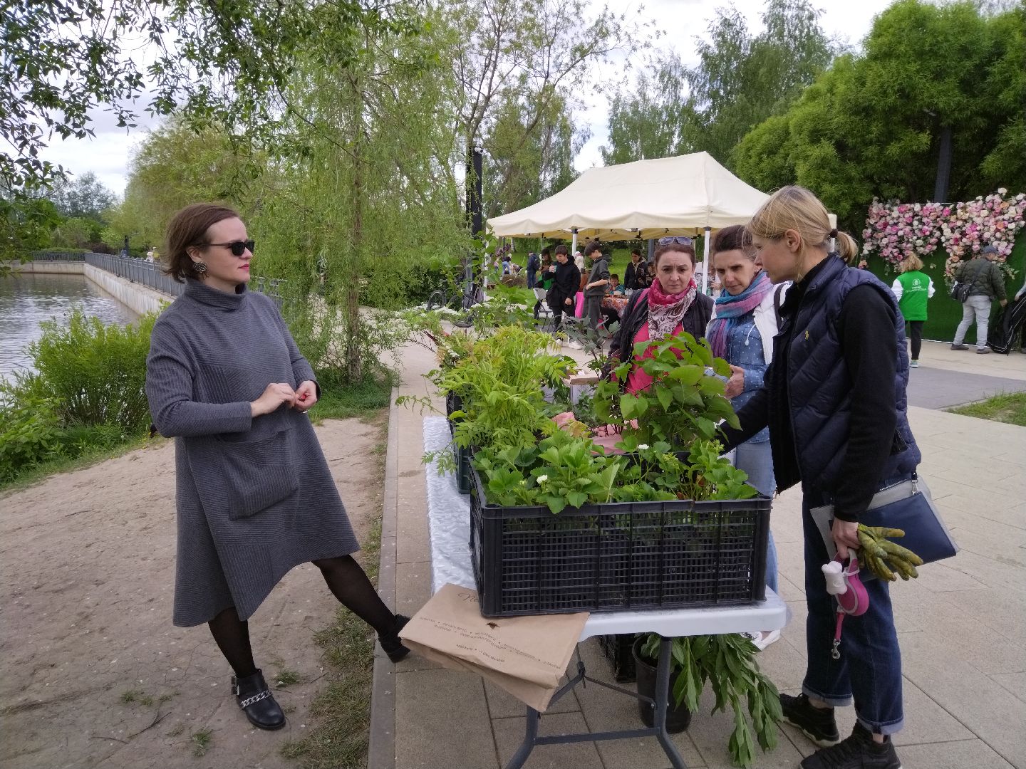 парковый ответ