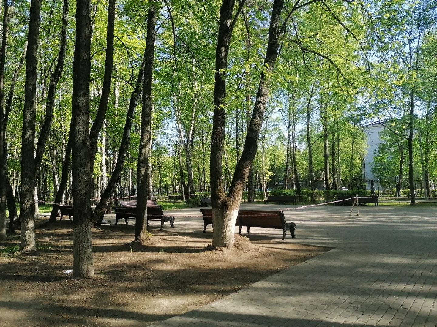 короле